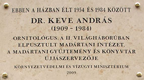 András Keve-Kleiner